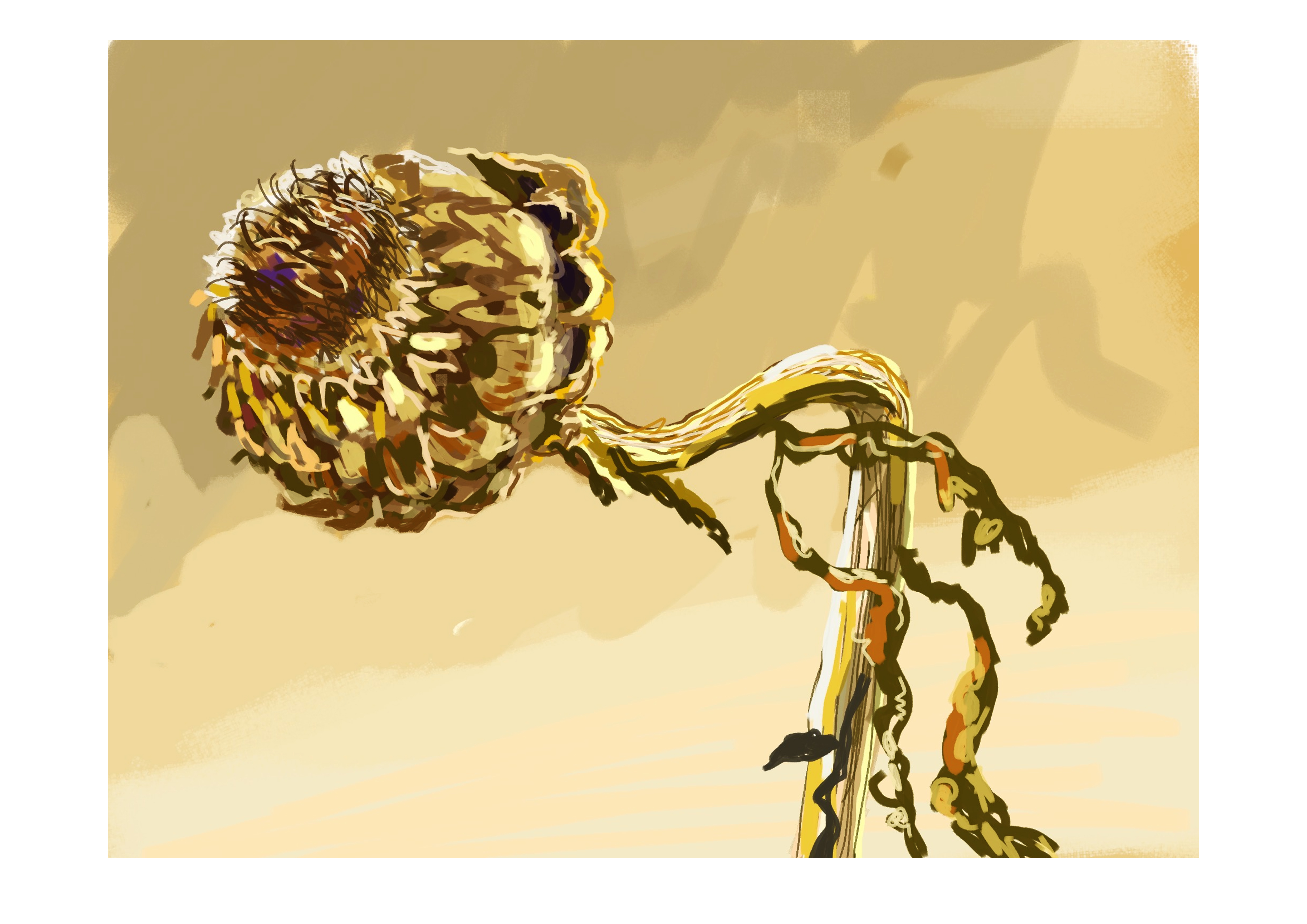 Artichoke_1_