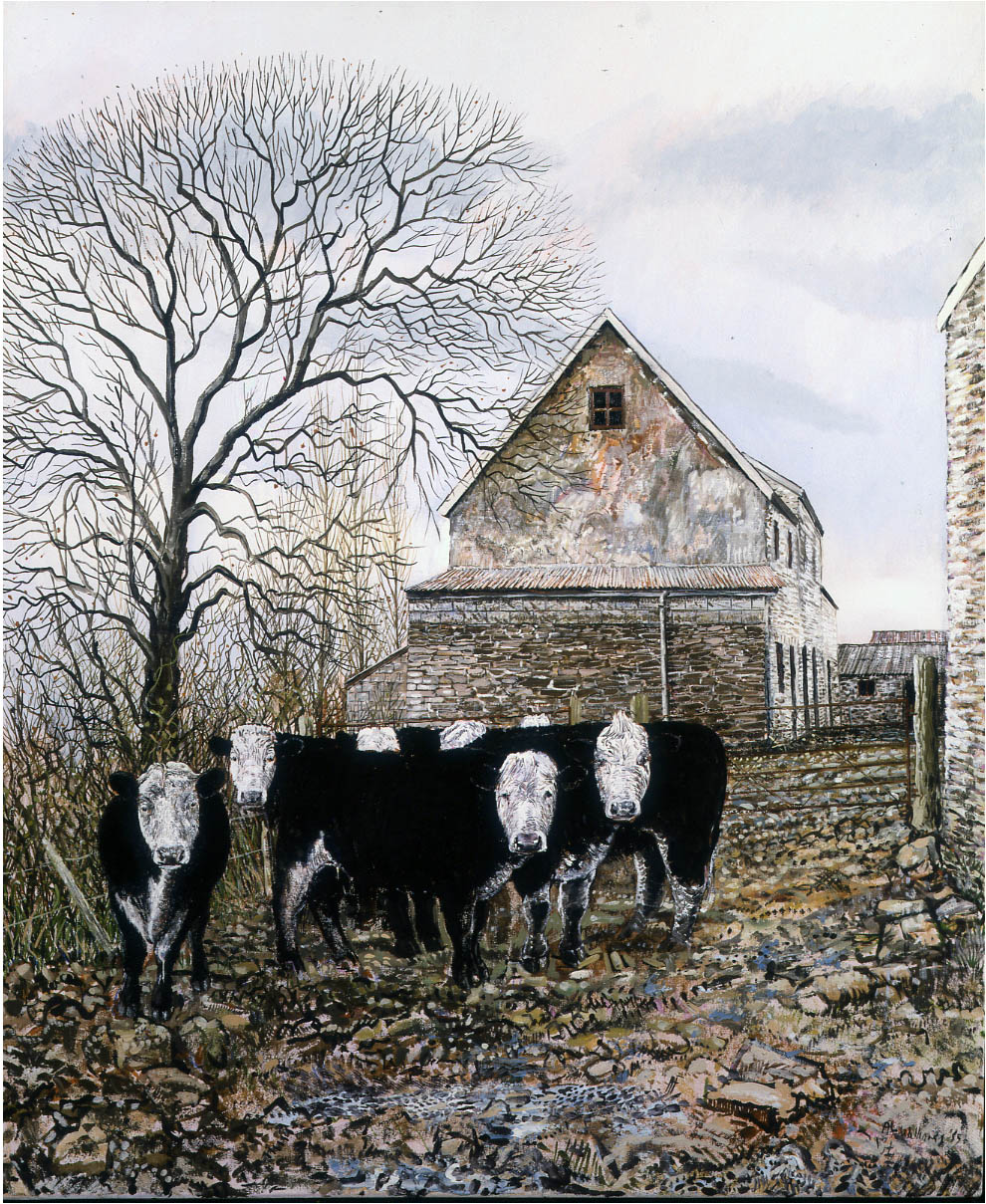Black_Herefords
