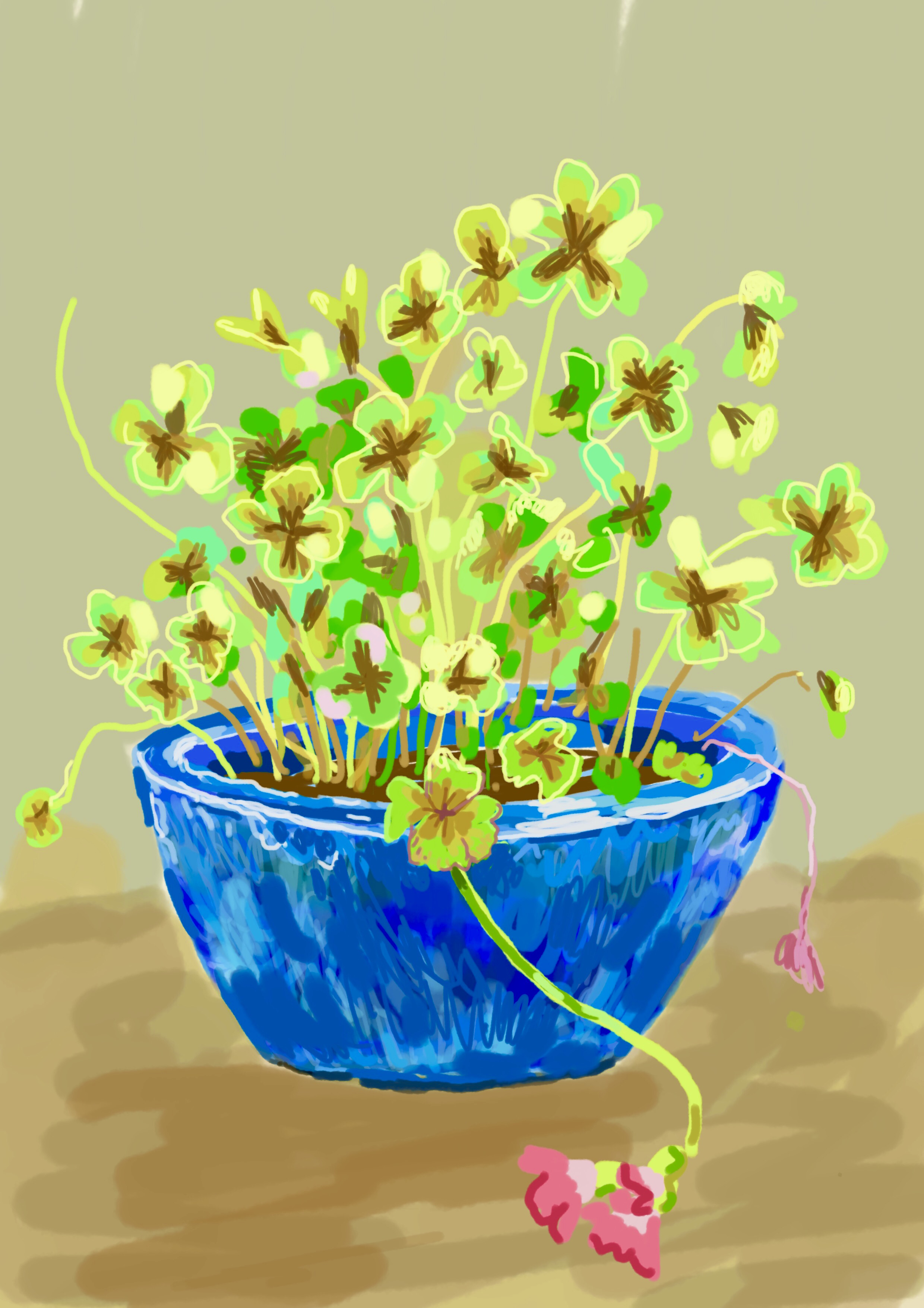 Blue_Dish__Flower