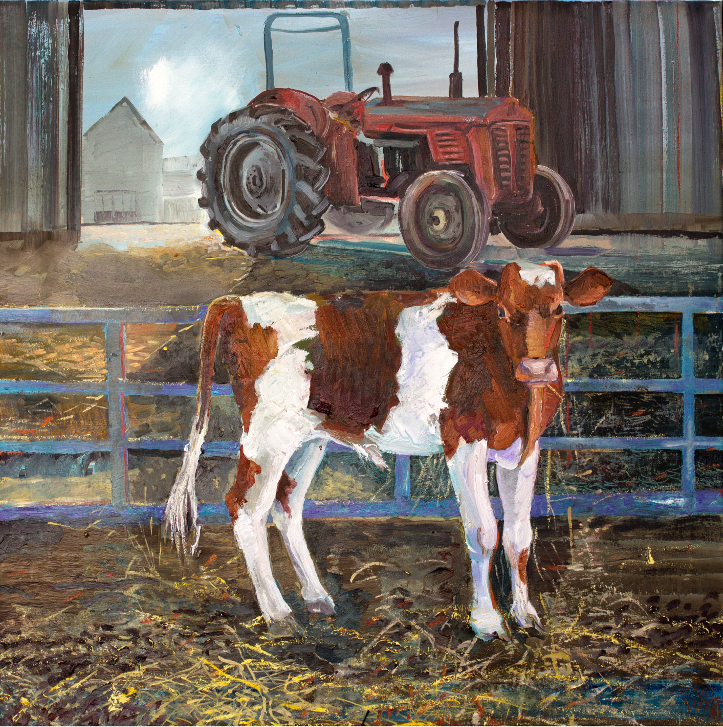 Calf_and_Tractor