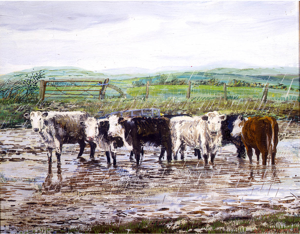 Cattle_and_rain