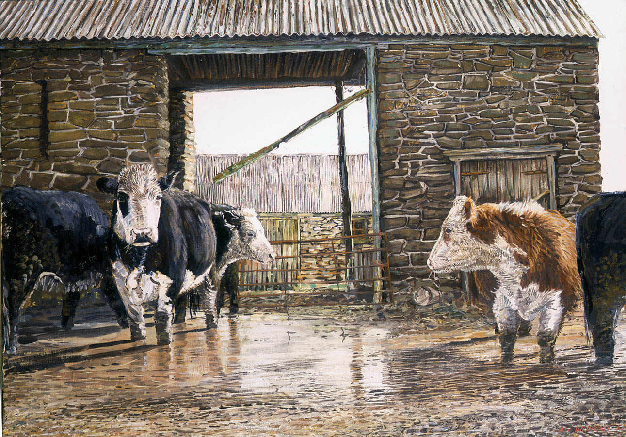 Cattle_in_the_Mud