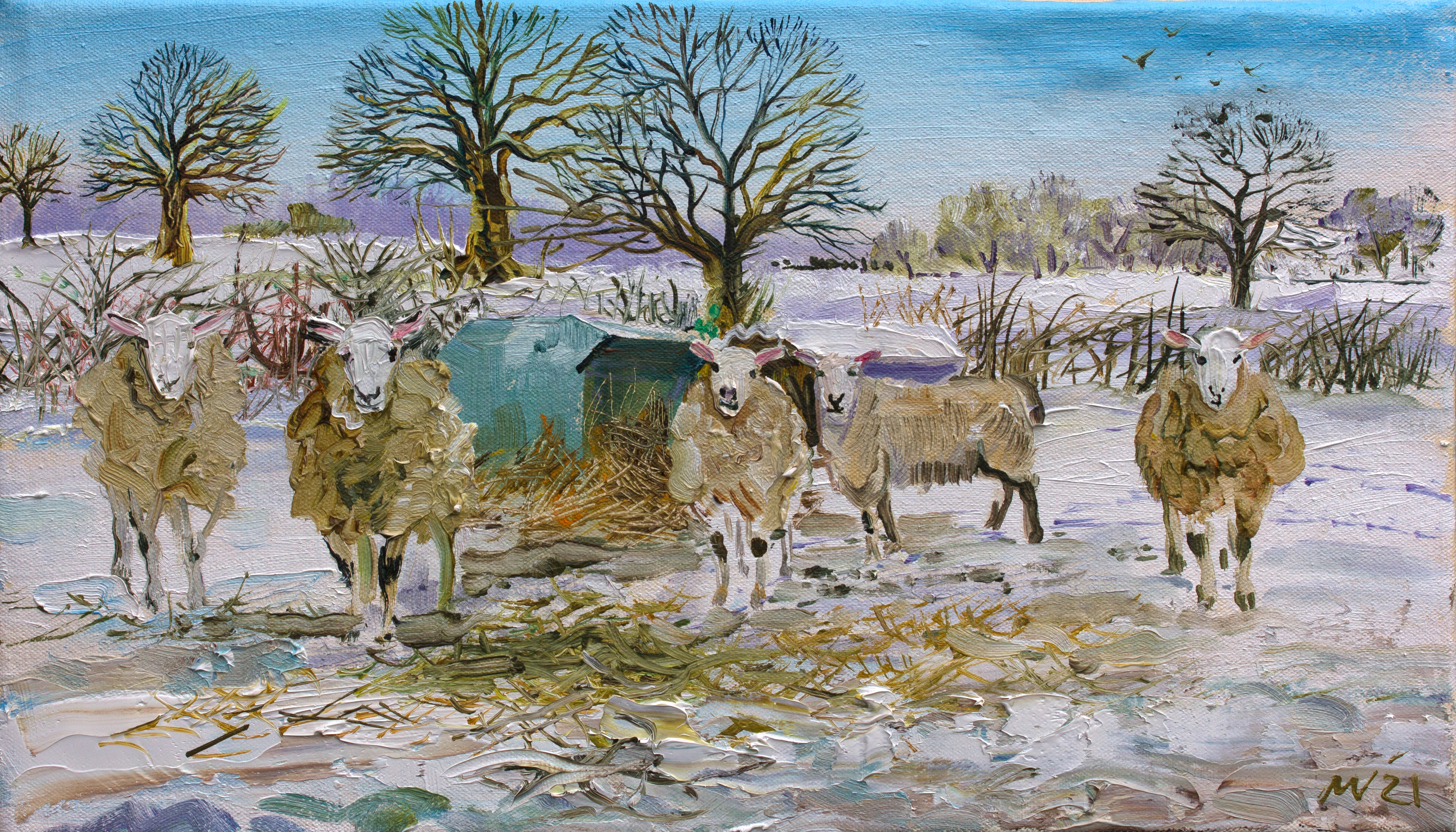 Five_Ewes