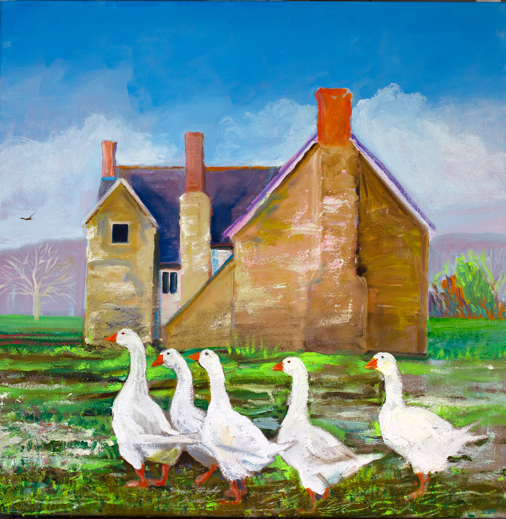 Geese_at_Tredustan_Court_copy
