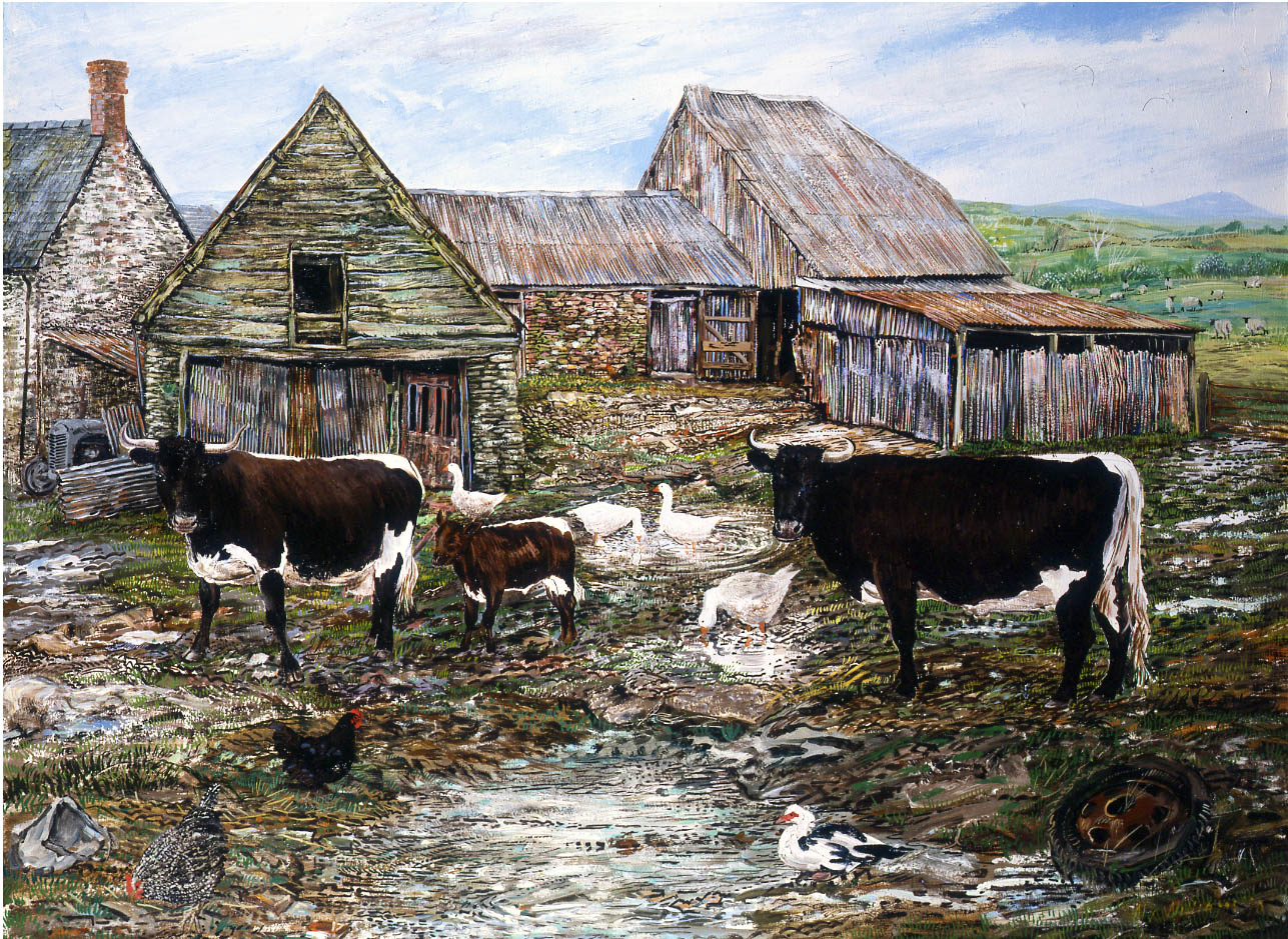 Gloucester_cattle_2
