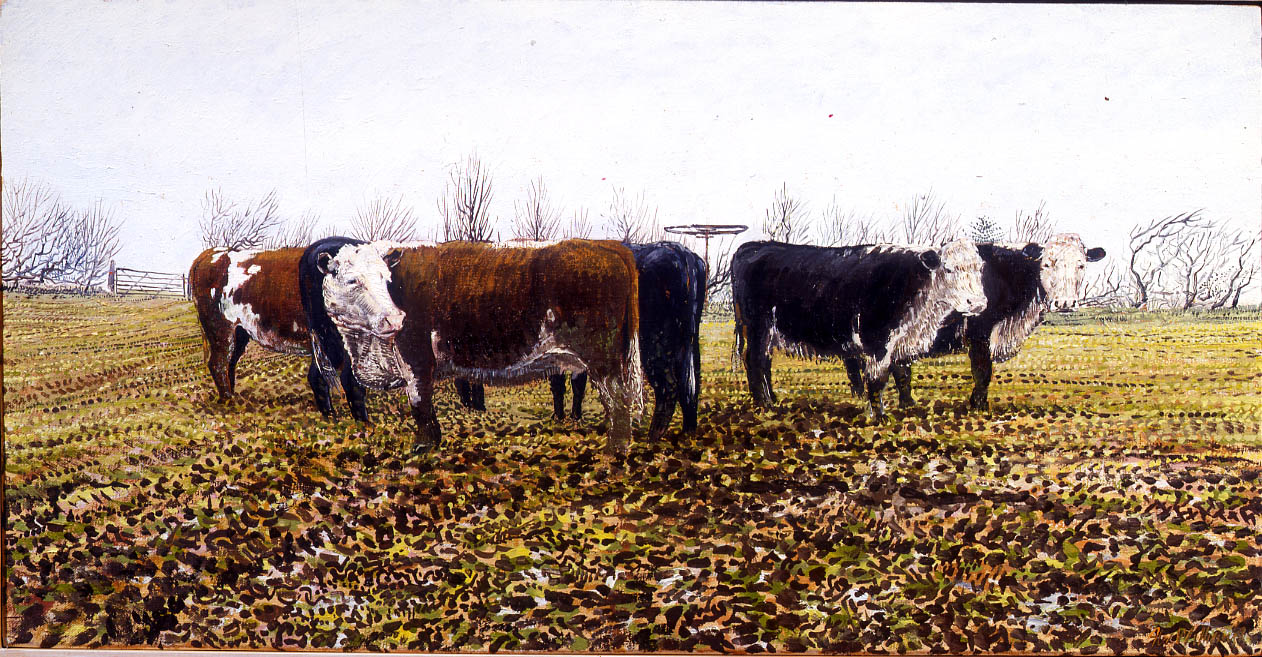 Hereford_Herd