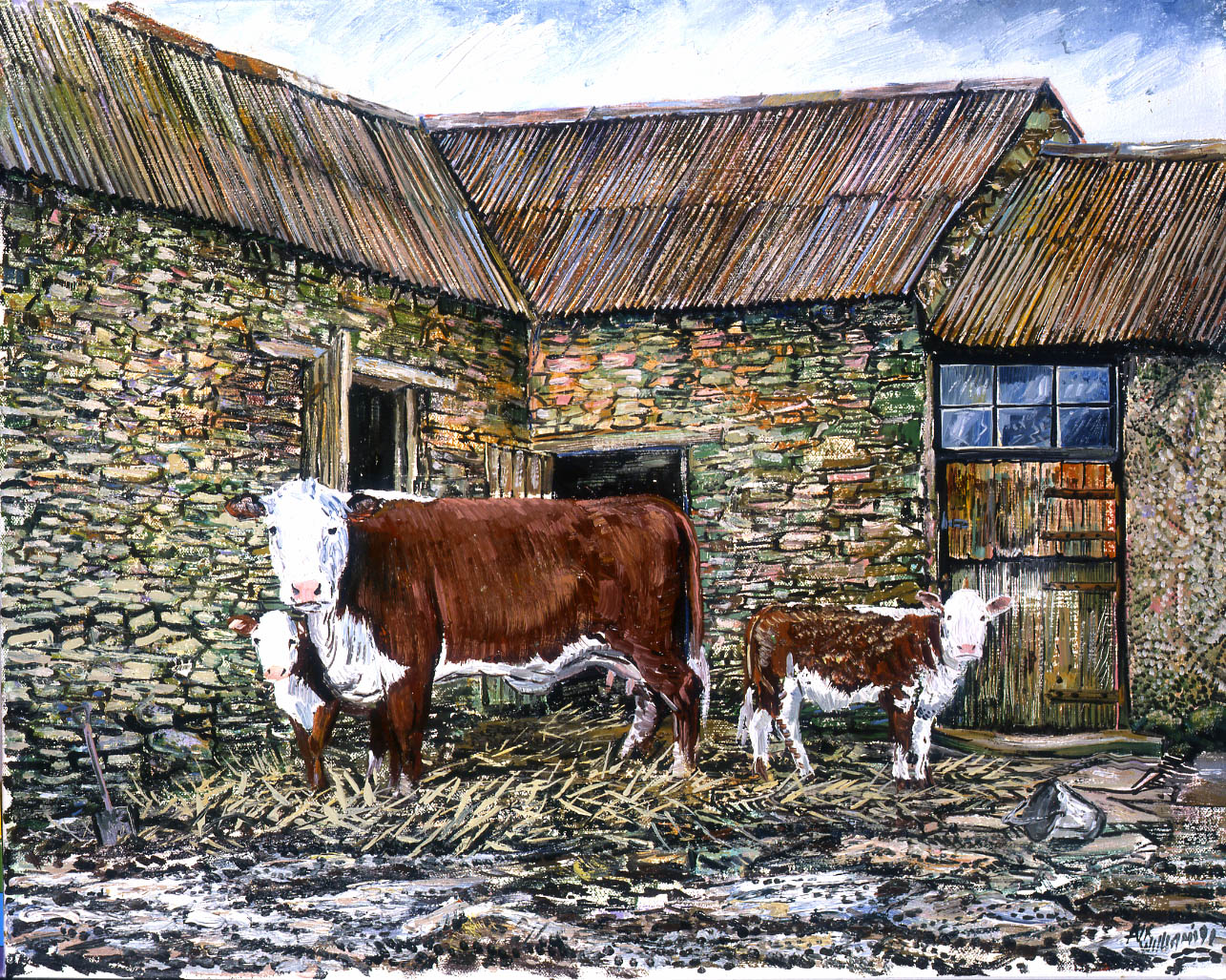 Hereford_and_calves