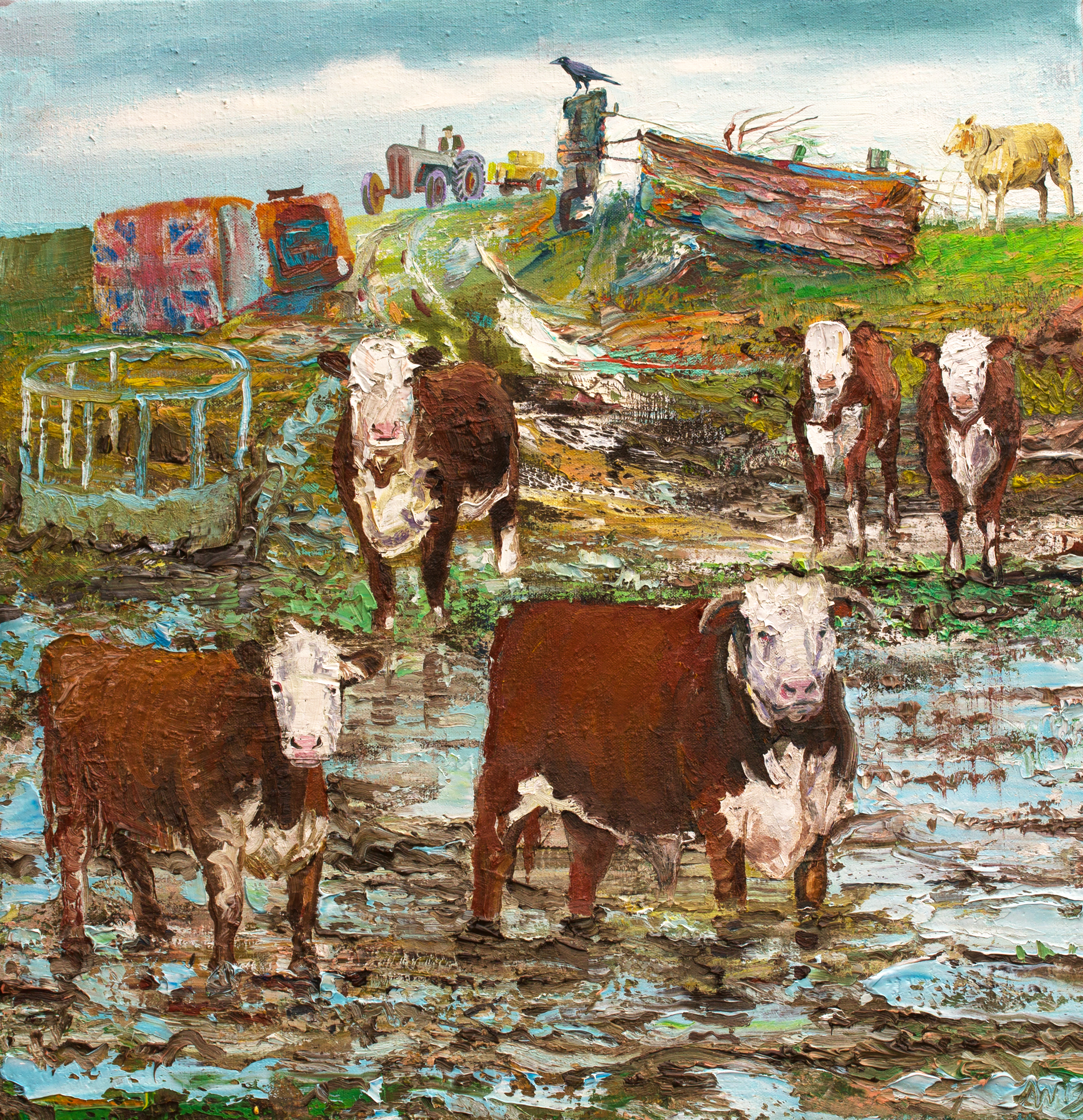 Herefords