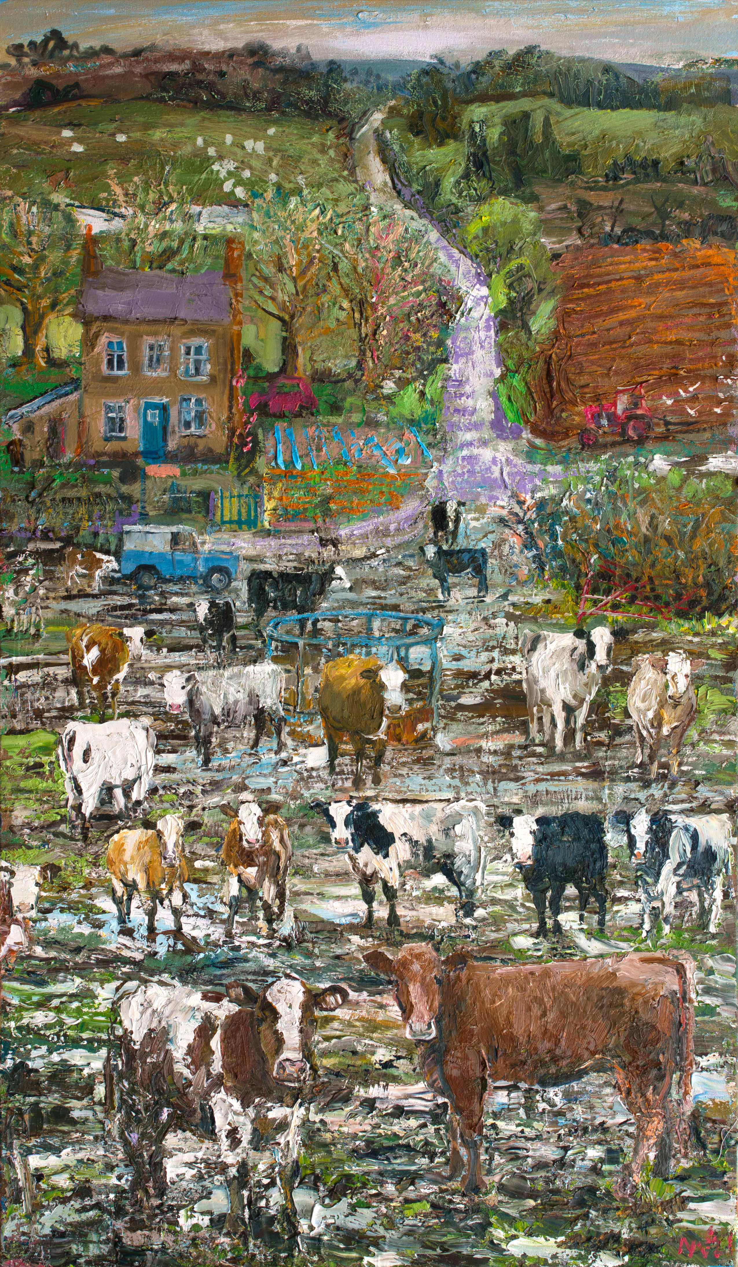 Hill_Farm_Cattle