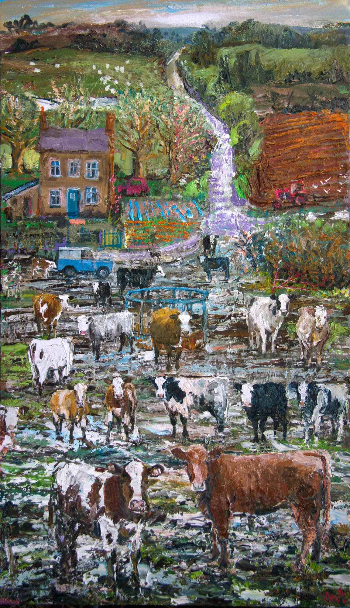 Hill_Farm_Cattle_1