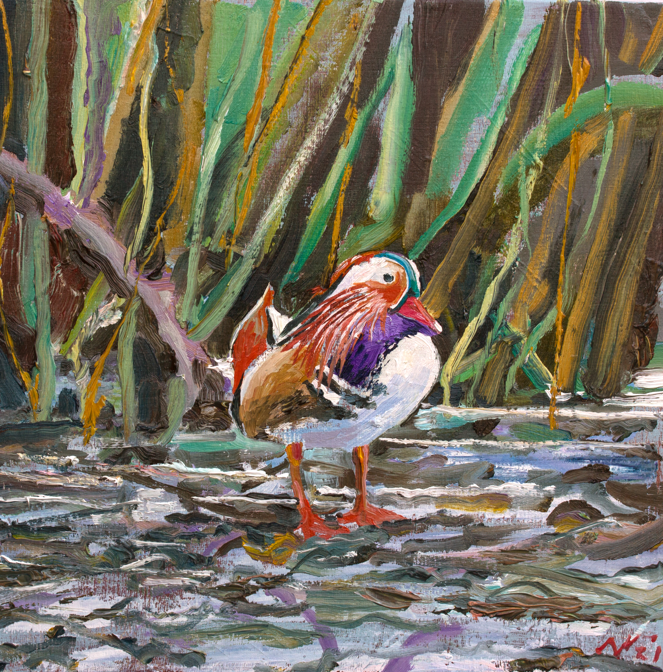 Mandarin_Walking_on_Pond