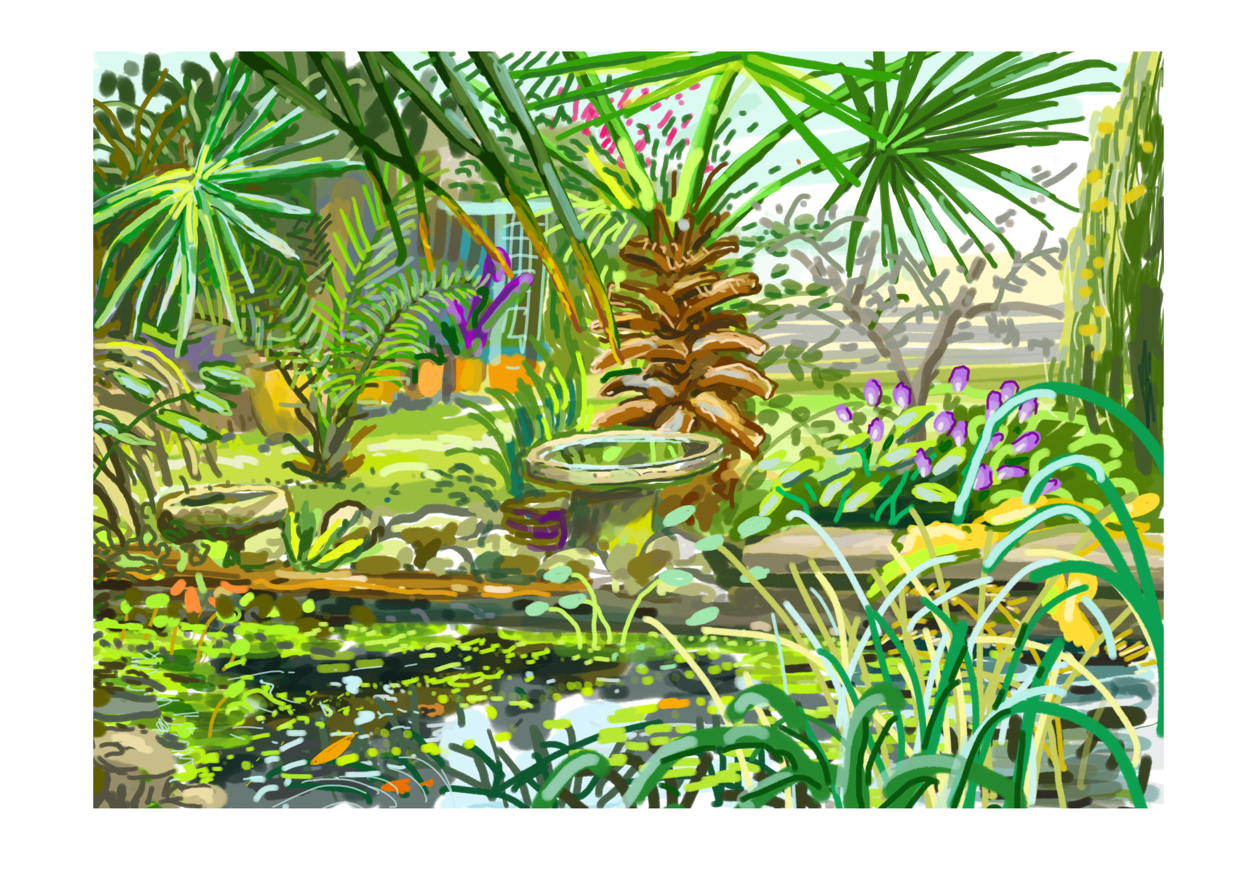 Studio_Pond_