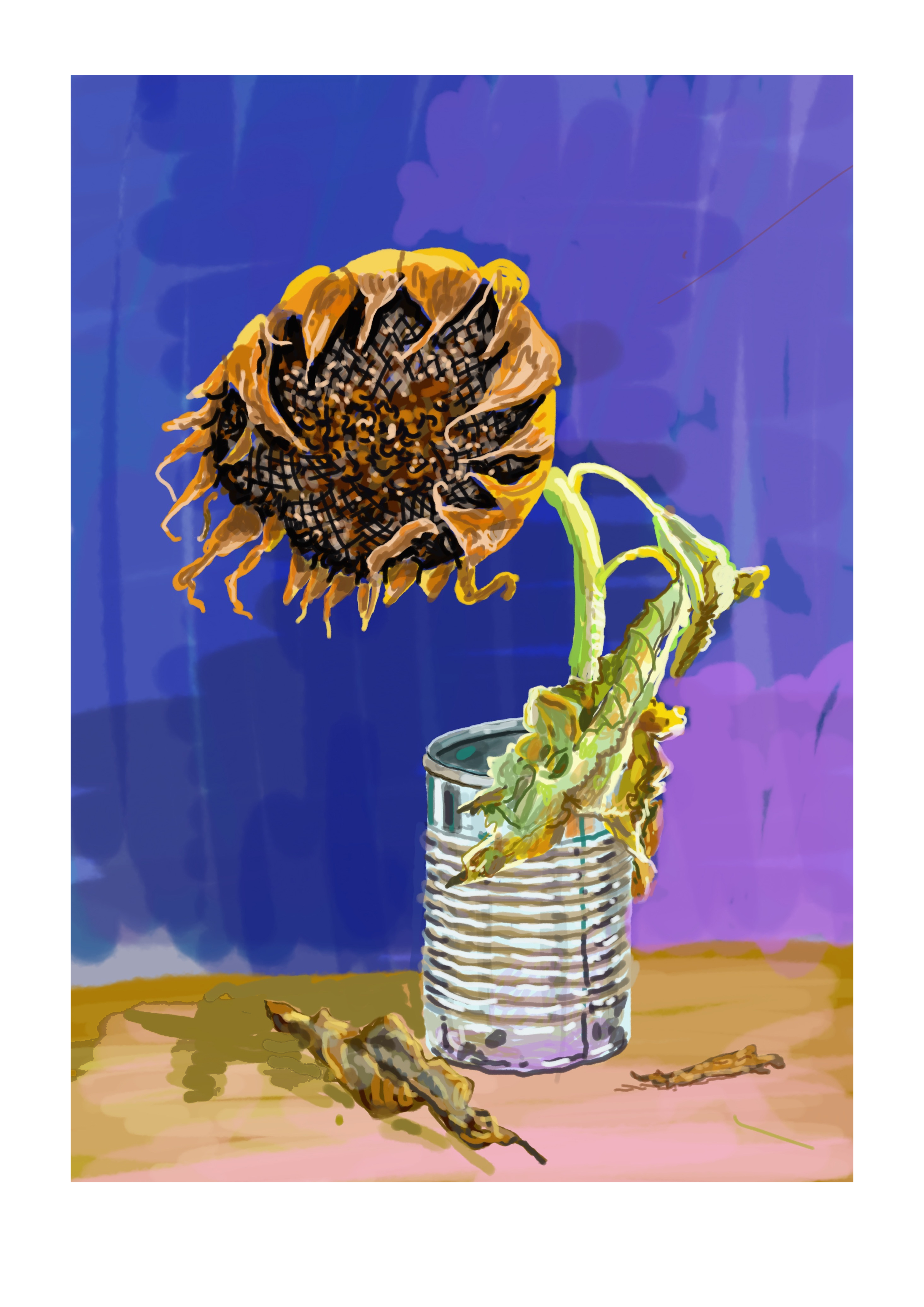 Sunflower_and_tin_can_