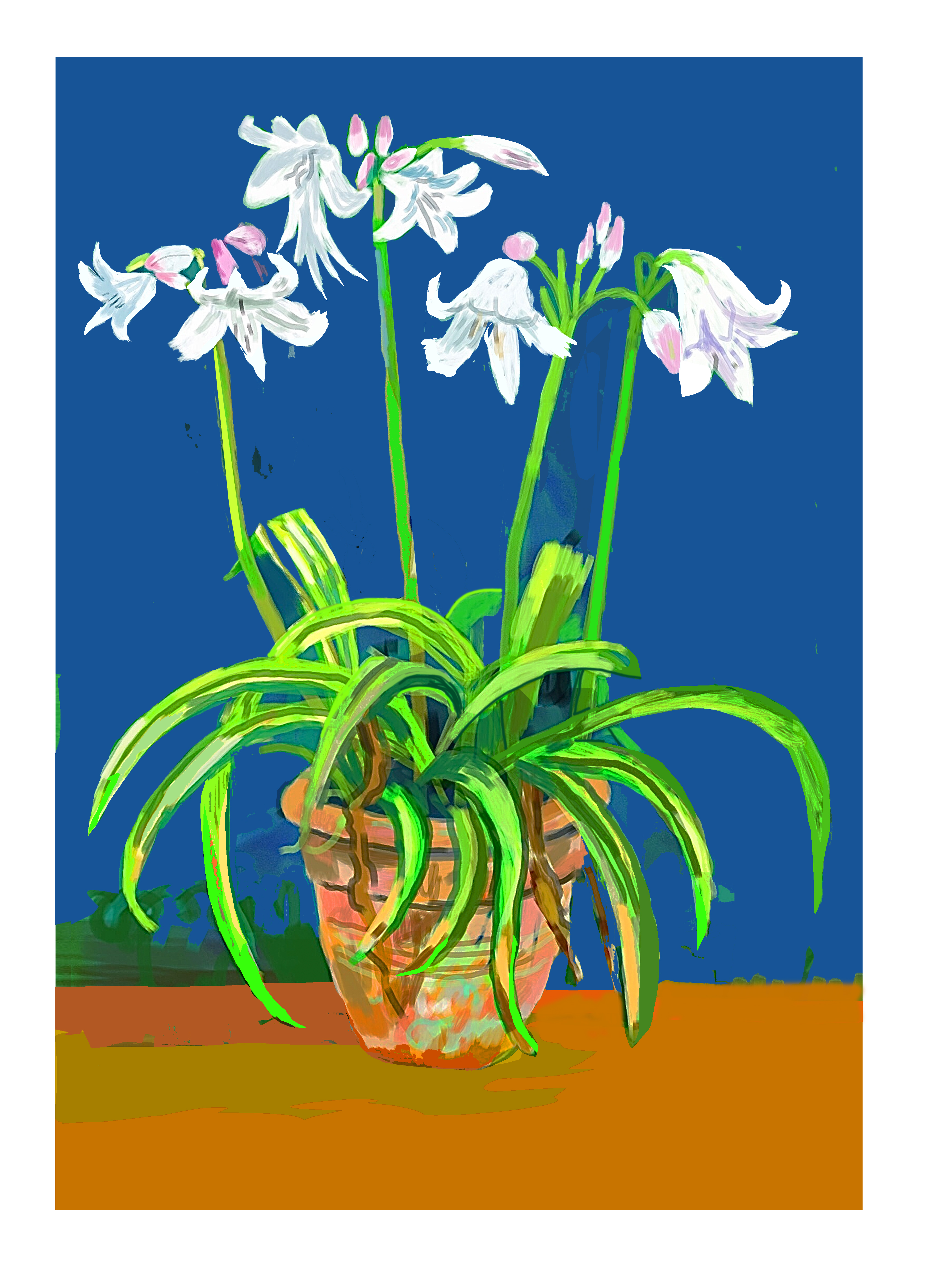 White_Lillies_