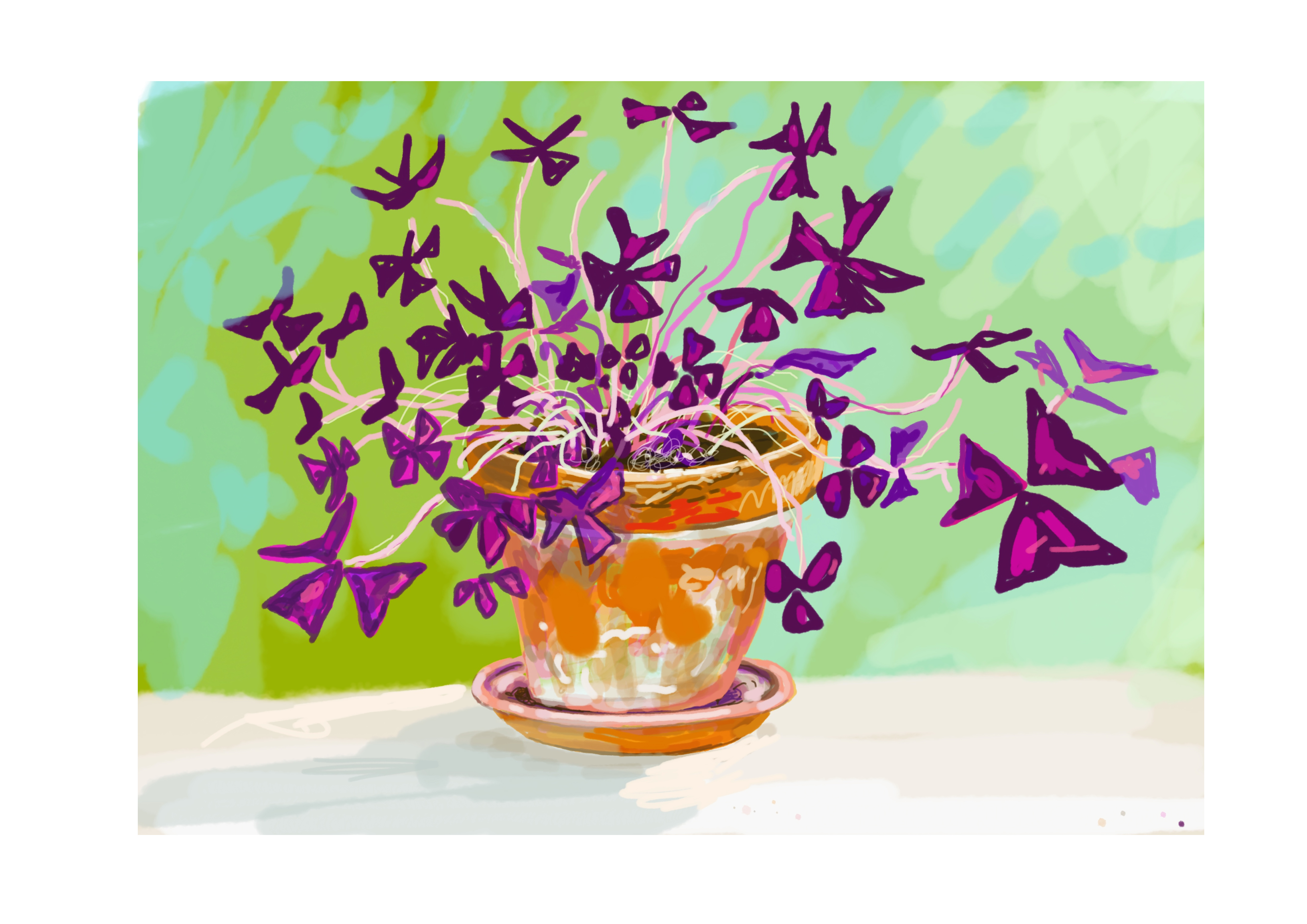 butterfly_flowers_